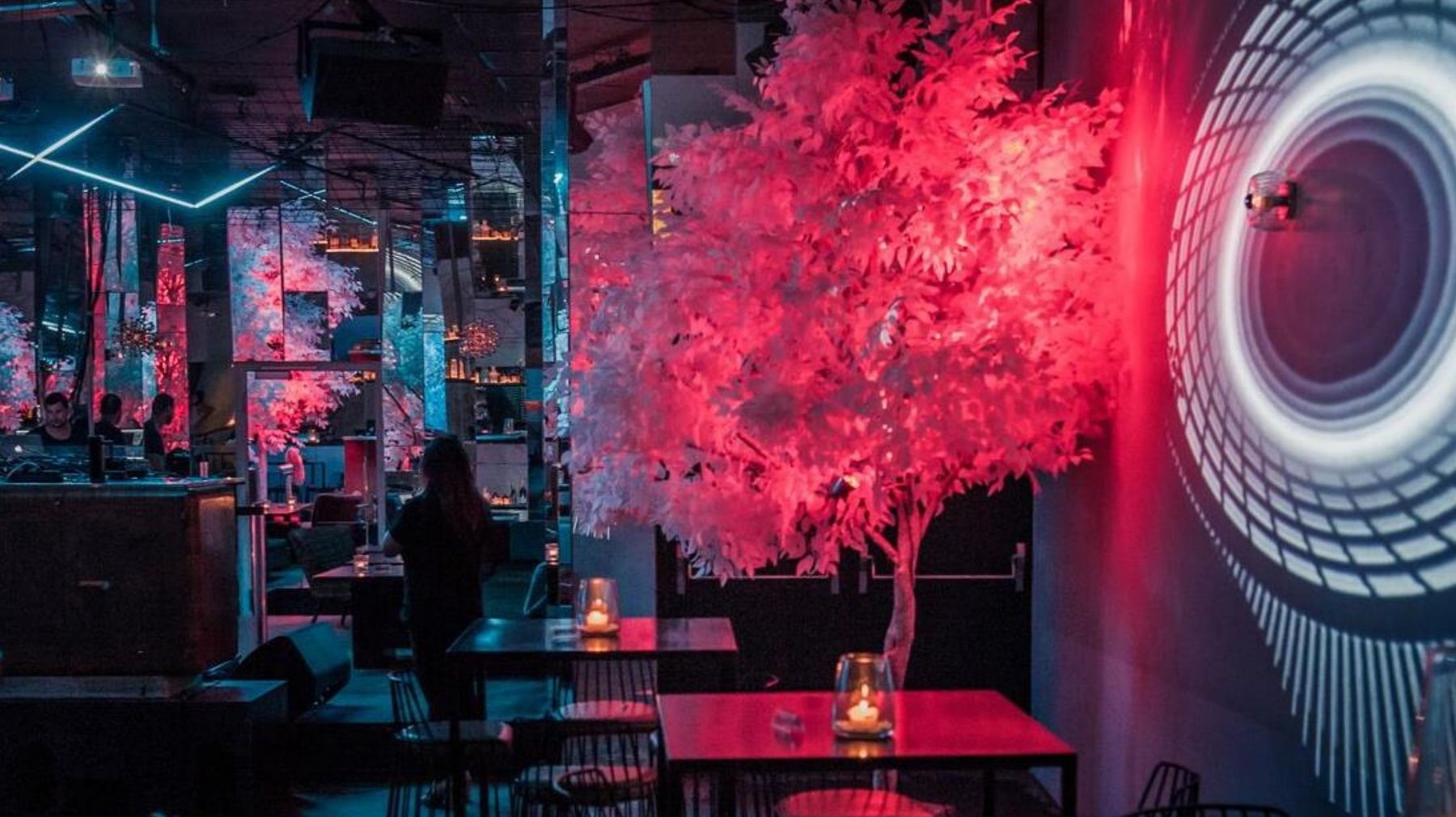 Baby Boa, Genève : arbre rose lumineux dans le club