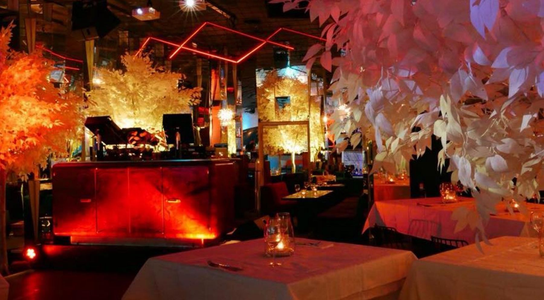 Baby Boa, Genève : club baigné de rouge et arbres blancs illuminés