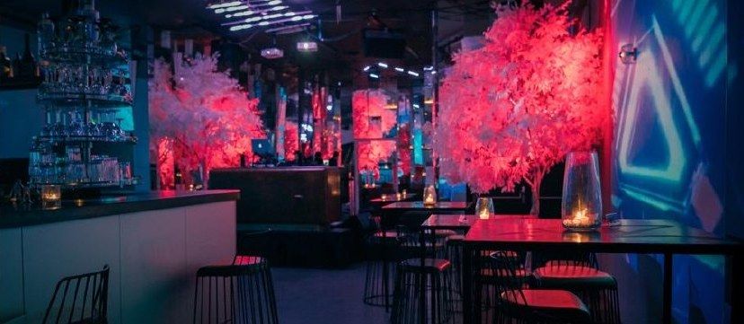 Le club Baby Boa après la transformation, avec ses arbres rouges illuminés